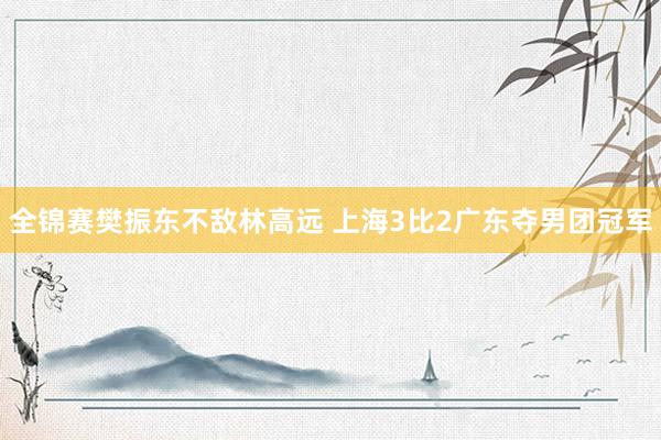 全锦赛樊振东不敌林高远 上海3比2广东夺男团冠军