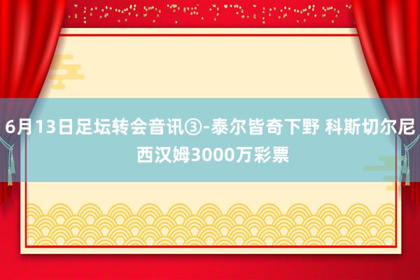 6月13日足坛转会音讯③-泰尔皆奇下野 科斯切尔尼 西汉姆3000万彩票