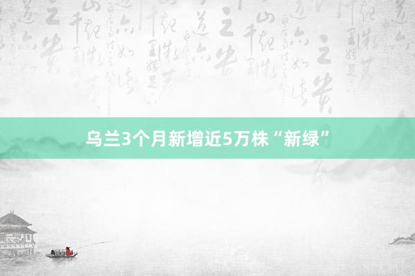 乌兰3个月新增近5万株“新绿”