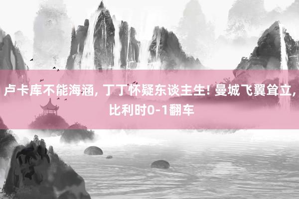 卢卡库不能海涵, 丁丁怀疑东谈主生! 曼城飞翼耸立, 比利时0-1翻车