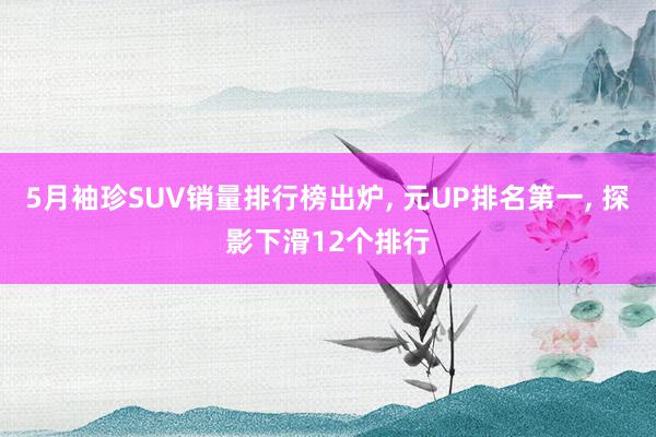 5月袖珍SUV销量排行榜出炉, 元UP排名第一, 探影下滑12个排行