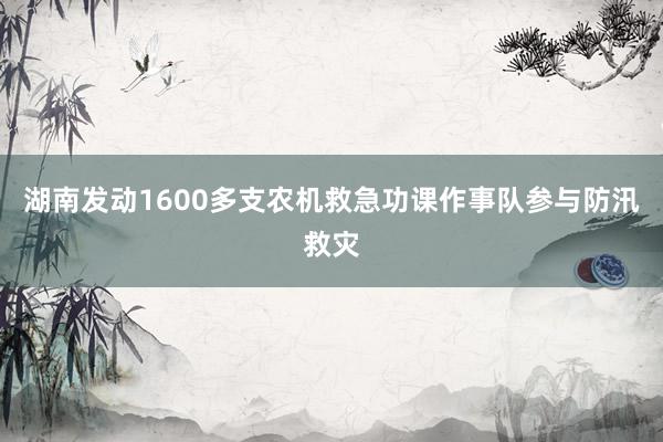 湖南发动1600多支农机救急功课作事队参与防汛救灾