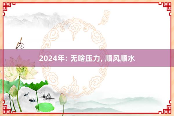 2024年: 无啥压力, 顺风顺水