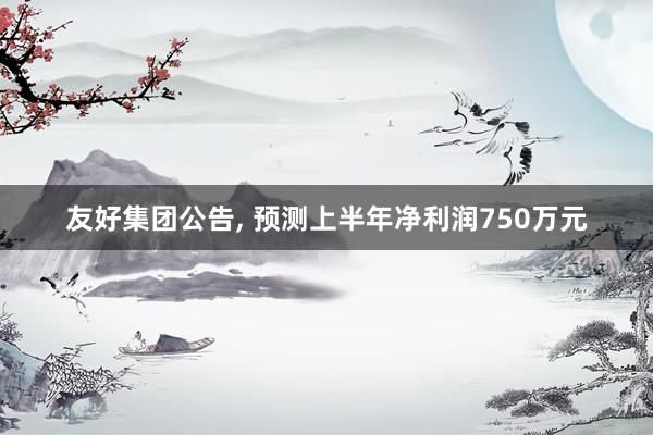 友好集团公告, 预测上半年净利润750万元