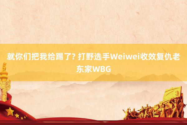 就你们把我给踢了? 打野选手Weiwei收效复仇老东家WBG