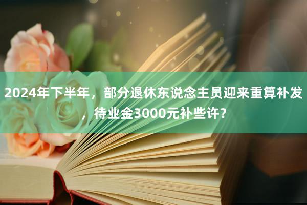 2024年下半年，部分退休东说念主员迎来重算补发，待业金3000元补些许？