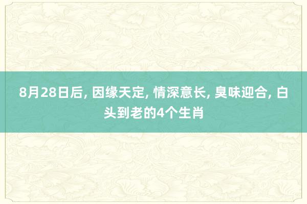 8月28日后, 因缘天定, 情深意长, 臭味迎合, 白头到老的4个生肖