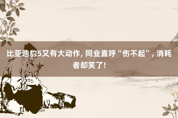 比亚迪豹5又有大动作, 同业直呼“伤不起”, 消耗者却笑了!