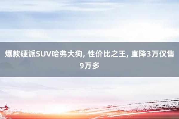 爆款硬派SUV哈弗大狗, 性价比之王, 直降3万仅售9万多