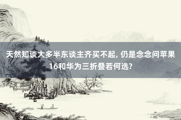 天然知谈大多半东谈主齐买不起, 仍是念念问苹果16和华为三折叠若何选?