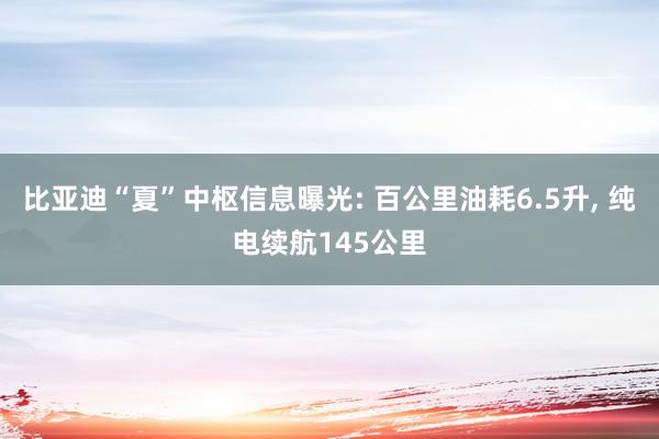 比亚迪“夏”中枢信息曝光: 百公里油耗6.5升, 纯电续航145公里