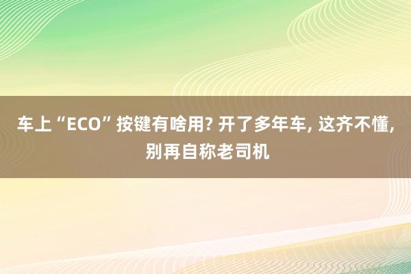 车上“ECO”按键有啥用? 开了多年车, 这齐不懂, 别再自称老司机