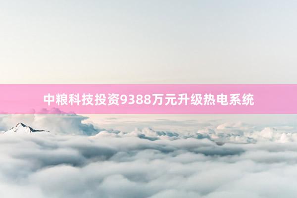 中粮科技投资9388万元升级热电系统