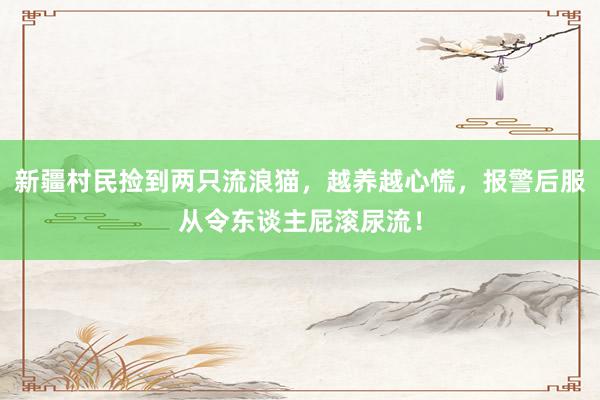 新疆村民捡到两只流浪猫，越养越心慌，报警后服从令东谈主屁滚尿流！